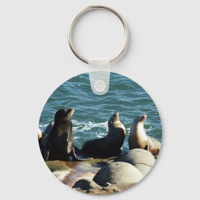 San Diego Sea Lions Keychain (Front)