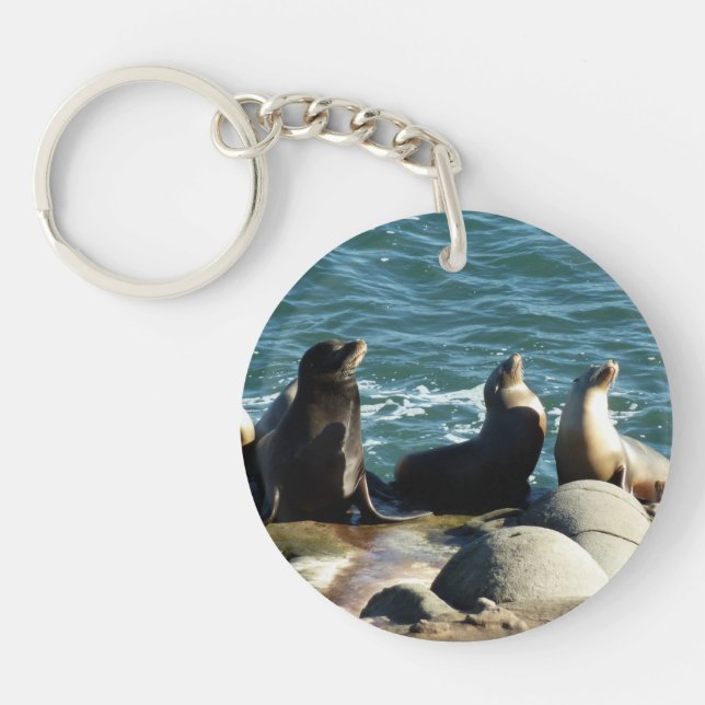 San Diego Sea Lions Keychain (Front)
