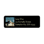 San Diego Sea Lions Label