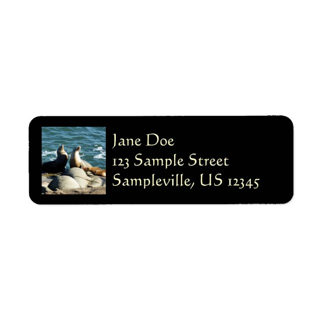San Diego Sea Lions Label (Front)