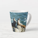 San Diego Sea Lions Latte Mug