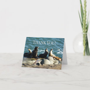 San Diego Sea Lions Letterpress Thank You Card
