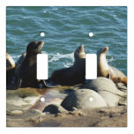San Diego Sea Lions Light Switch Cover