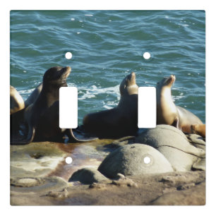 San Diego Sea Lions Light Switch Cover