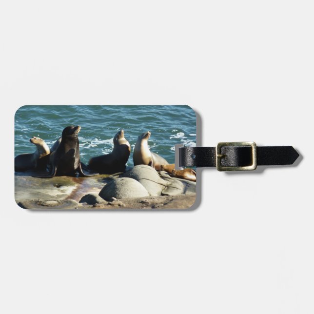 San Diego Sea Lions Luggage Tag (Front Horizontal)