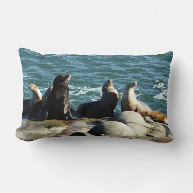 San Diego Sea Lions Lumbar Pillow (Front)