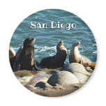 San Diego Sea Lions Magnet