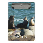 San Diego Sea Lions Mini Clipboard