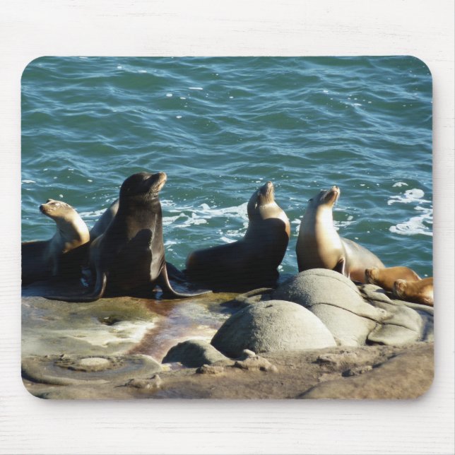 San Diego Sea Lions Mouse Pad (Front)