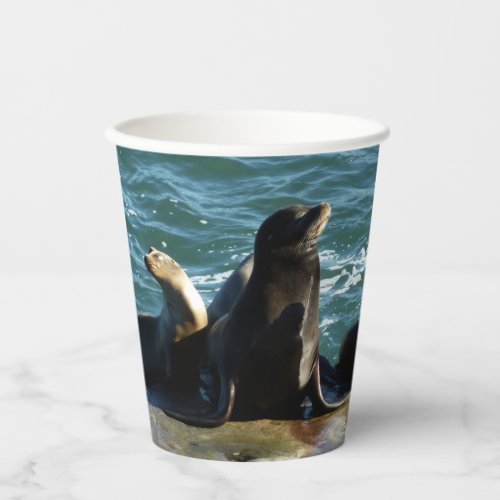 San Diego Sea Lions Paper Cups