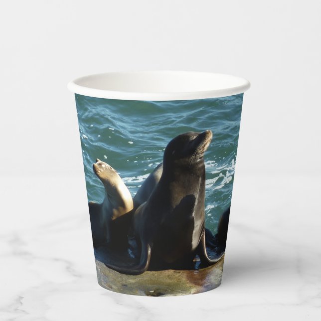 San Diego Sea Lions Paper Cups (Front)