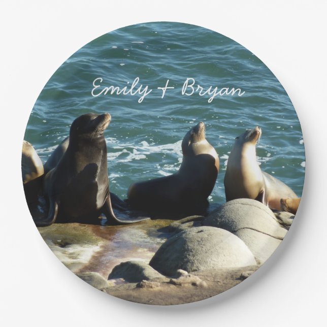 San Diego Sea Lions Paper Plates (Front)