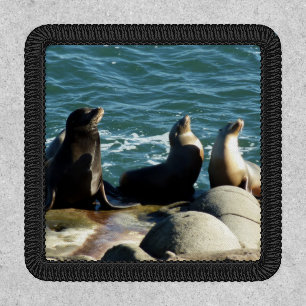San Diego Sea Lions Patch