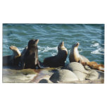 San Diego Sea Lions Place Card Holder