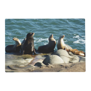 San Diego Sea Lions Placemat