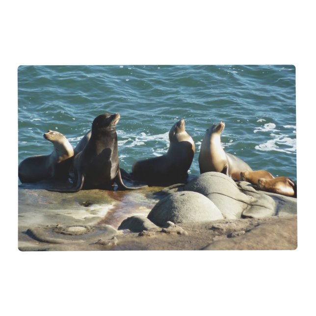 San Diego Sea Lions Placemat (Front)