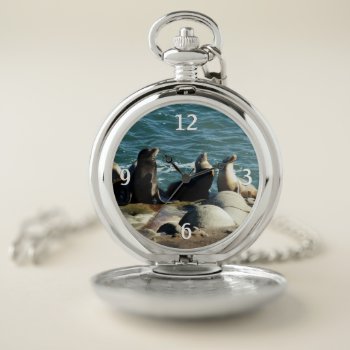 San Diego Sea Lions Pocket Watch by mlewallpapers at Zazzle