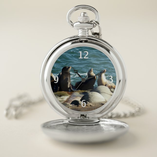 San Diego Sea Lions Pocket Watch (Inside)