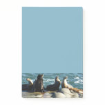San Diego Sea Lions Post-it Notes