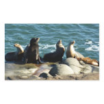 San Diego Sea Lions Rectangular Sticker
