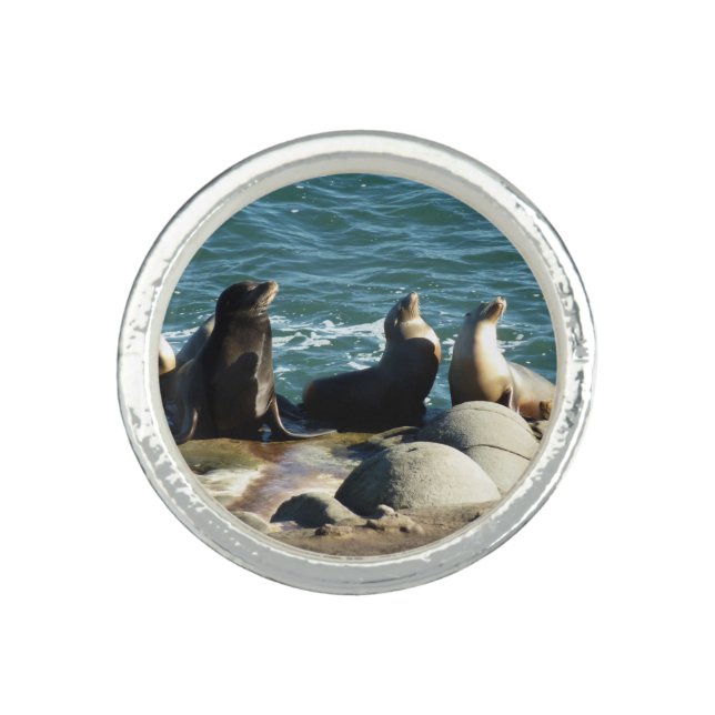 San Diego Sea Lions Ring (Front)