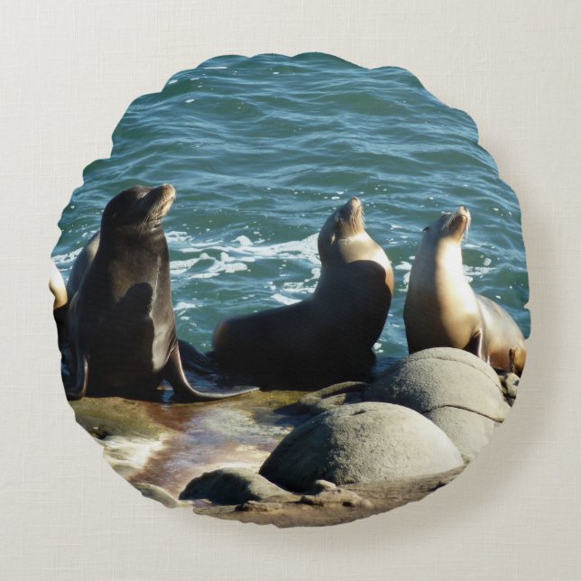 San Diego Sea Lions Round Pillow (Front)