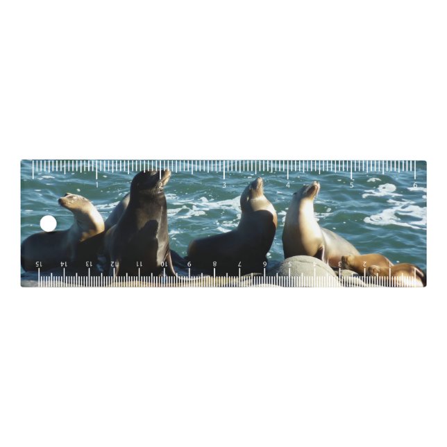 San Diego Sea Lions Ruler (Front)
