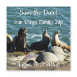 San Diego Sea Lions Save the Date