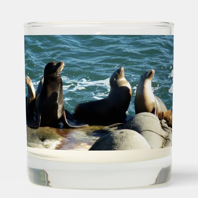 San Diego Sea Lions Scented Candle (Front)