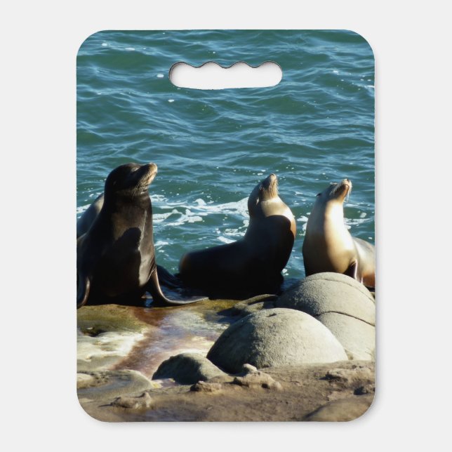 San Diego Sea Lions Seat Cushion (Front Vertical)