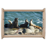 San Diego Sea Lions Serving Tray