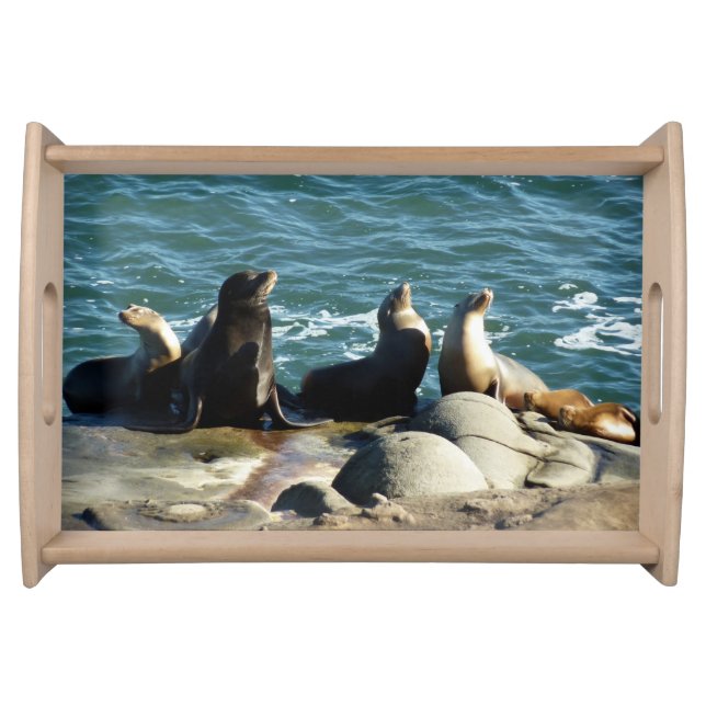 San Diego Sea Lions Serving Tray (Front)