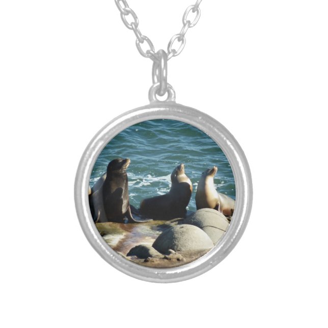 San Diego Sea Lions Silver Plated Necklace (Front)