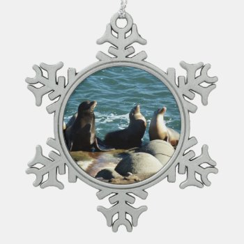 San Diego Sea Lions Snowflake Pewter Christmas Ornament by mlewallpapers at Zazzle