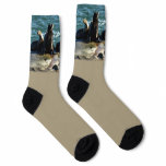 San Diego Sea Lions Socks