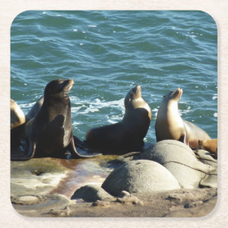 San Diego Sea Lions Square Paper Coaster