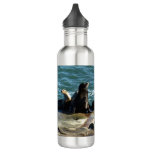 San Diego Sea Lions Stainless Steel Water Bottle