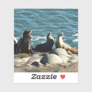 San Diego Sea Lions Sticker