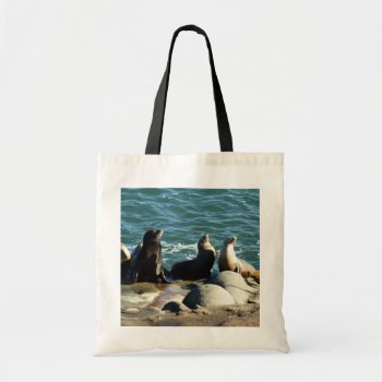 San Diego Sea Lions Tote Bag by mlewallpapers at Zazzle