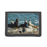 San Diego Sea Lions Trifold Wallet