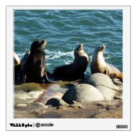 San Diego Sea Lions