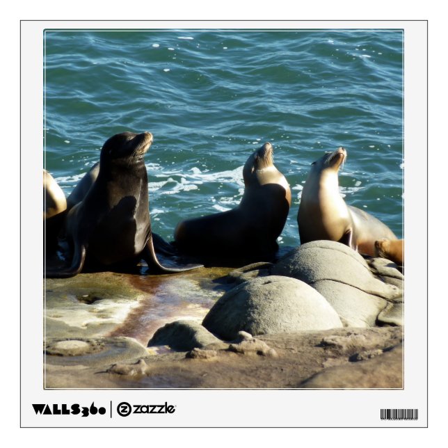 San Diego Sea Lions Wall Decal (Front)