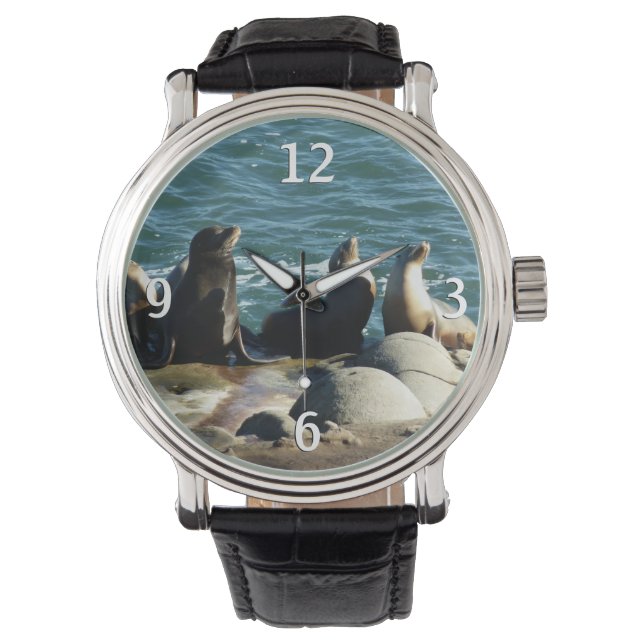 San Diego Sea Lions Watch (Front)