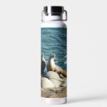 San Diego Sea Lions Water Bottle