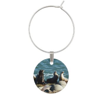 San Diego Sea Lions Wine Charm by mlewallpapers at Zazzle