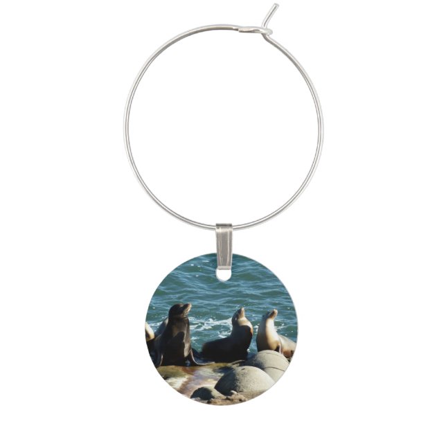 San Diego Sea Lions Wine Charm (Front)