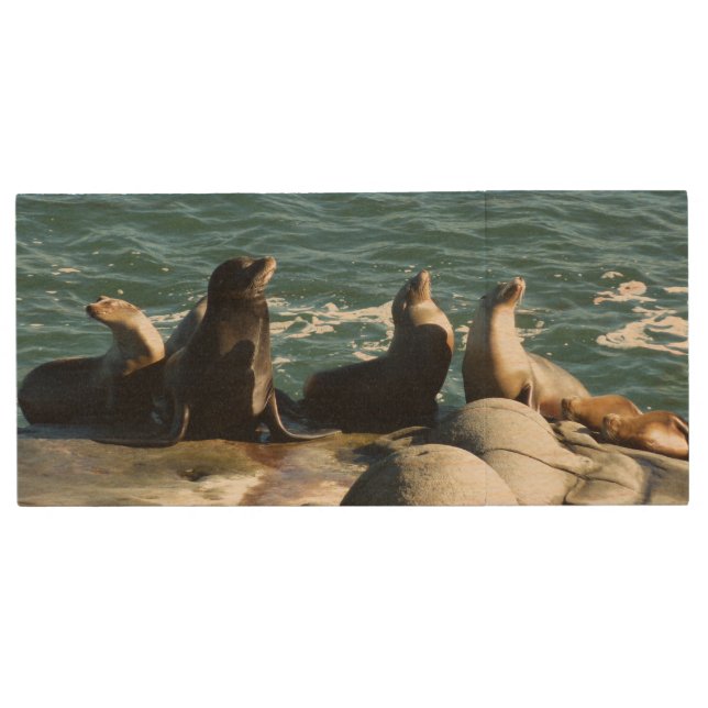 San Diego Sea Lions Wood Flash Drive (Front)