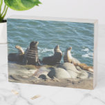 San Diego Sea Lions Wooden Box Sign