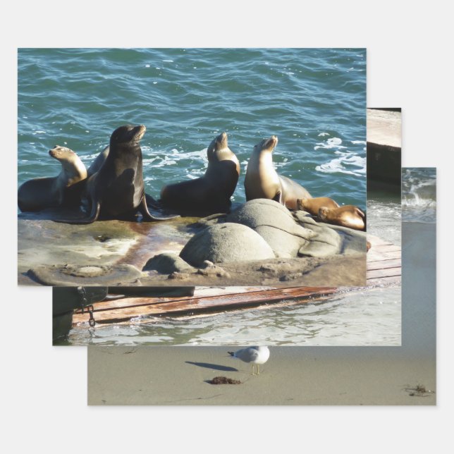 San Diego Sea Lions Wrapping Paper Sheets (Set)