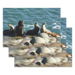 San Diego Sea Lions Wrapping Paper Sheets